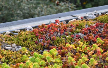the cost of Jerviswood green roof installation