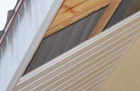 rated Jerviswood soffit repair companies